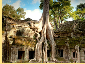 Ta Prohm, Cambodia gay tour