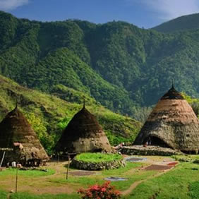 Flores village