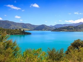 New Zealand gay cruise - Queen Charlotte Sound
