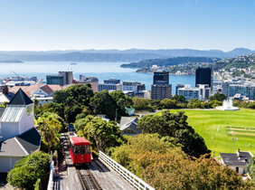 Wellington, New Zealand gay cruise