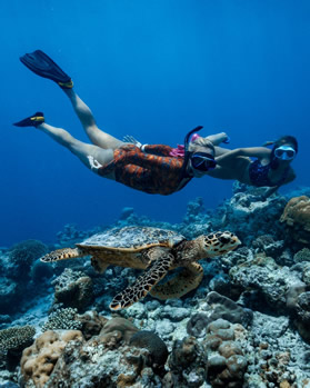 Maldives diving holidays
