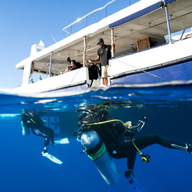 Maldives scuba diving cruise