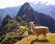 Machu Picchu Lesbian Adventure Tour 2025