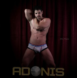 Gay Adonis Lupe