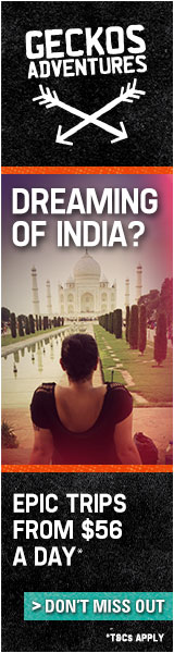 Geckos India Tours
