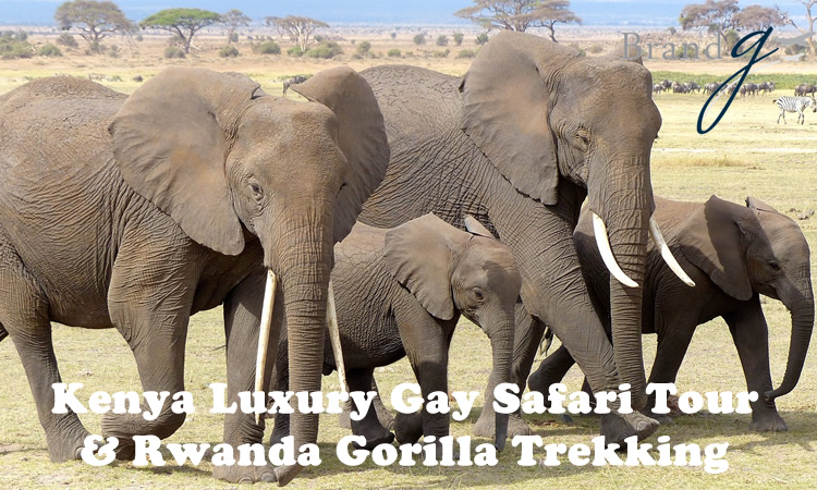 Kenya Luxury Gay Safari Tour