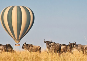 Masai Mara Balloon safari