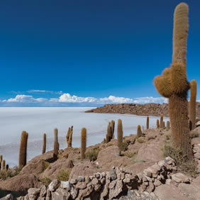 Bolivia gay travel