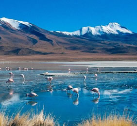 Bolivia gay trip