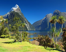 Gay New Zealand tour