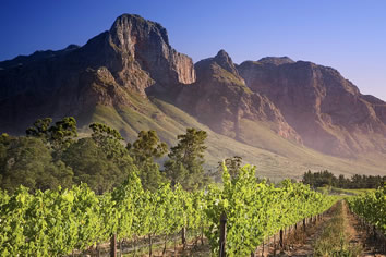 Cape Winelands gay tour