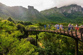 Gay Cape Town tour - Kirstenbosch Gardens