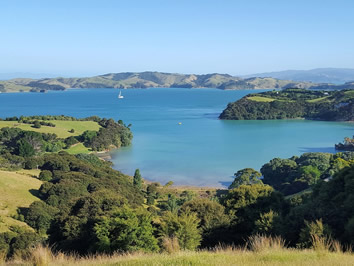 Waiheke Island, New Zealand gay tour