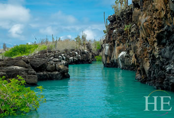 Santa Cruz, Galapagos Gay Tour