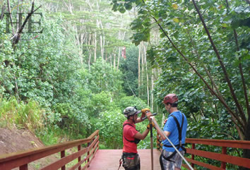 Hawaii gay adventure tour - Kauai zipline