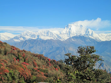Himalaya Nepal gay tour