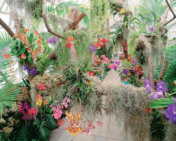 Cuba Gay Tour - Soroa orchid gardens