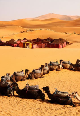 Exclusively Gay Morocco Tour