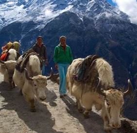 Everest hiking tour