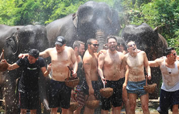 Thailand gay tour elephants