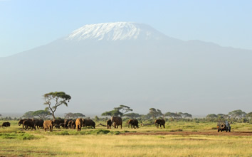 Tanzania gay safari tour