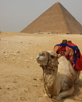 Gay Egypt tour