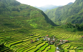 Philippines gay tour - Batad rice terraces