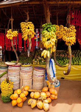 Gay Sri Lanka tour