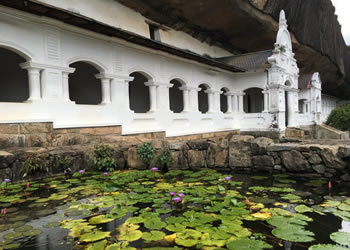 Zoom Sri Lanka gay group tour